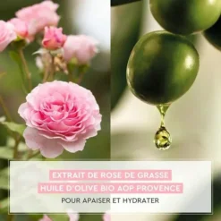 Crème Radieuse Hydratante Apaisante 48H... -Magazinul Boutique creme radieuse hydratante apaisante 48h huile dolive et extrait de rose de grasse de la provencale bio 2